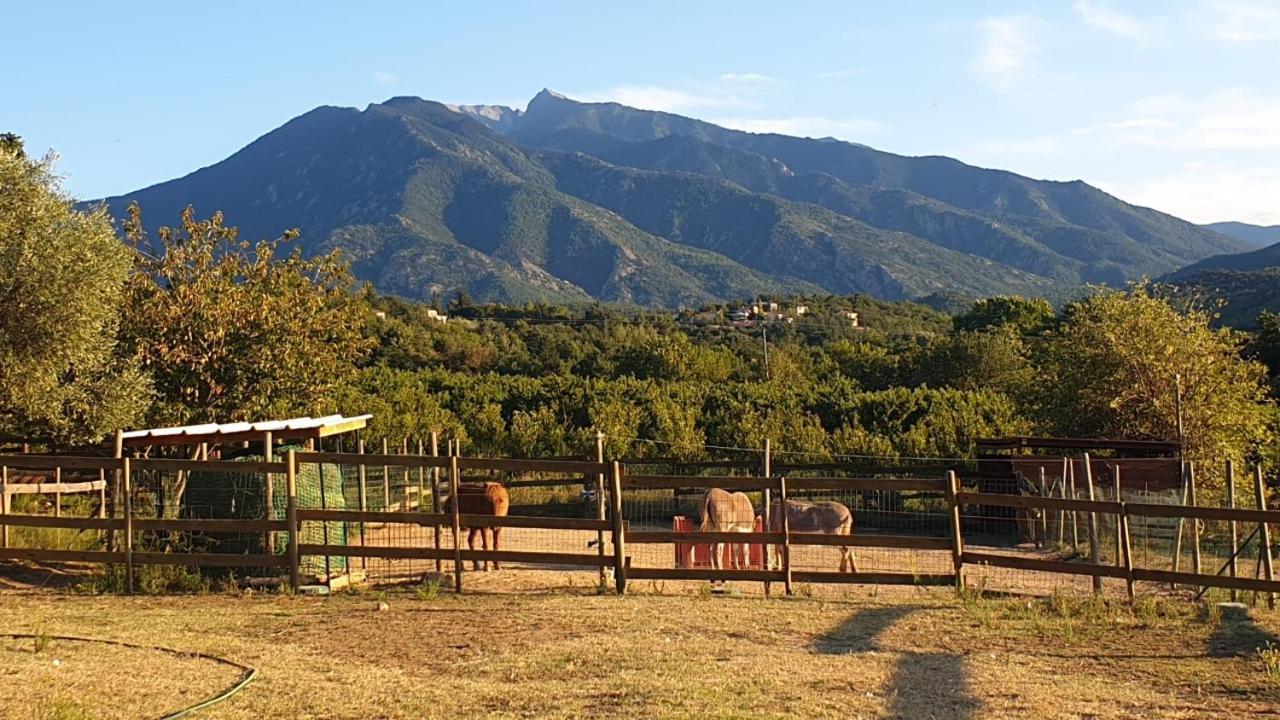 Chambre D'Hotes Le Petit Ranch Los Masos Exterior foto