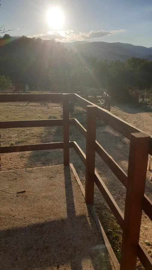 Chambre D'Hotes Le Petit Ranch Los Masos Exterior foto